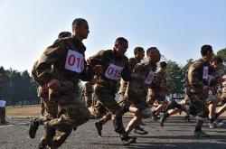 开云下载-里尔联队迎来胜利，向前迈进的简单介绍