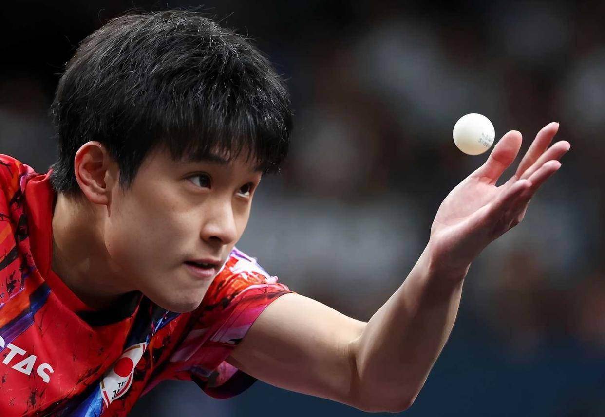 法国队鏖战波兰队，张本智和刷新纪录的简单介绍