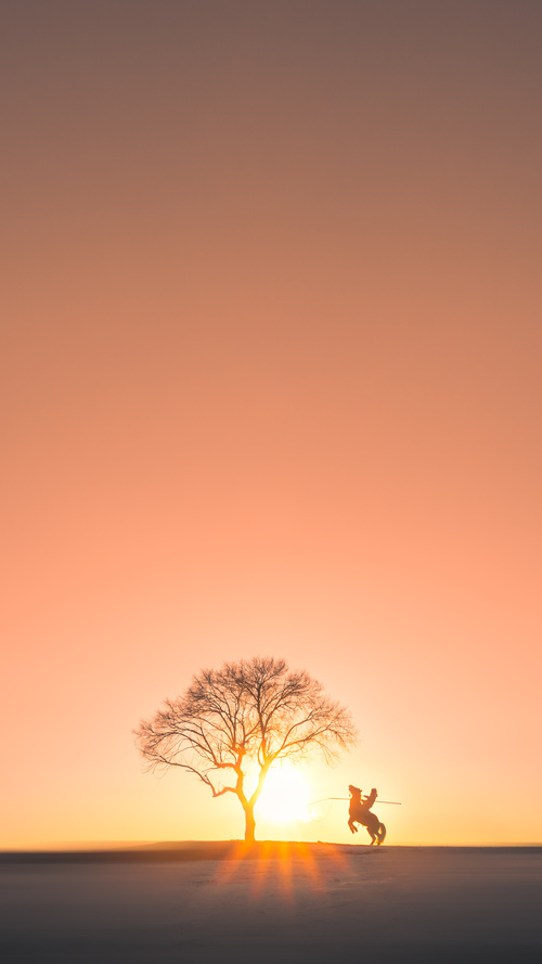 詹姆斯完美演绎掌控力,灰熊团队风暴击穿国王