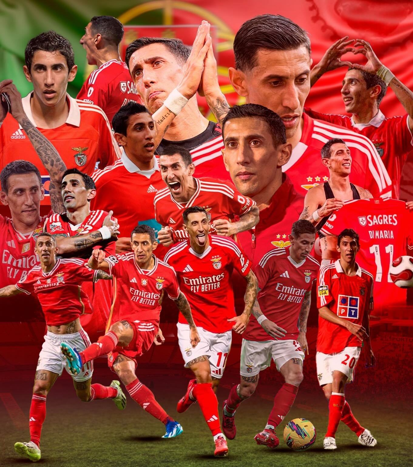 阿尔克马尔老将告别:球队历史时刻的简单介绍 阿尔克马尔老将告别:球队历史时刻的简单介绍