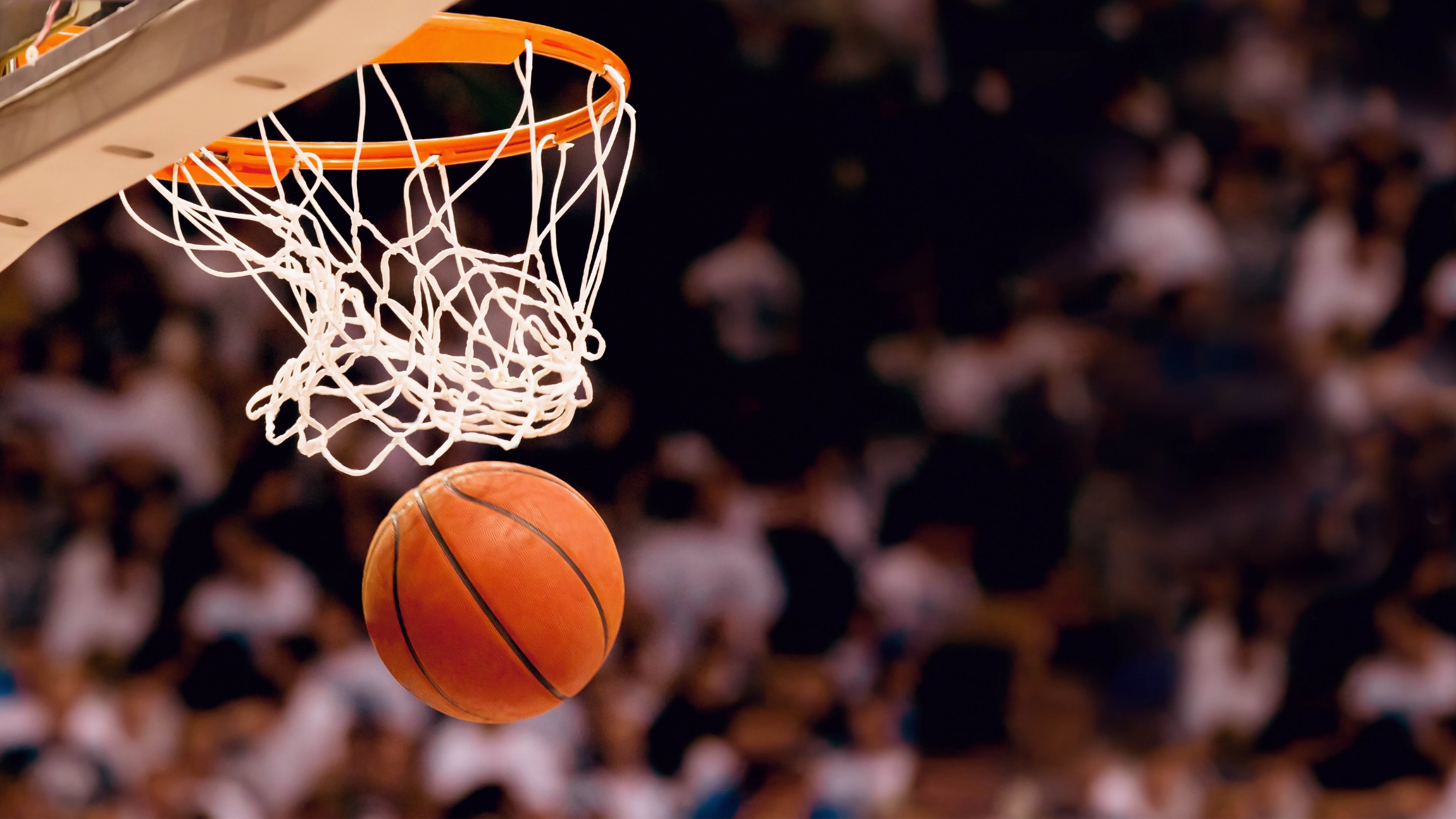 明尼苏达的北极光,当森林狼用一场横扫,在NBA杯上写下唯一的注脚